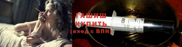 гашик Алексеевка