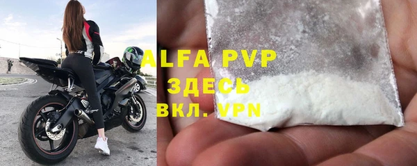 шишки Абаза
